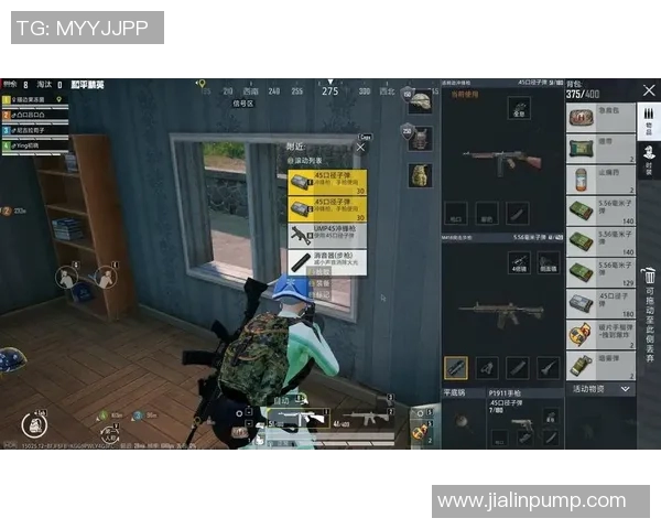 和平精英中的LNG战队耐力分析与战术探讨