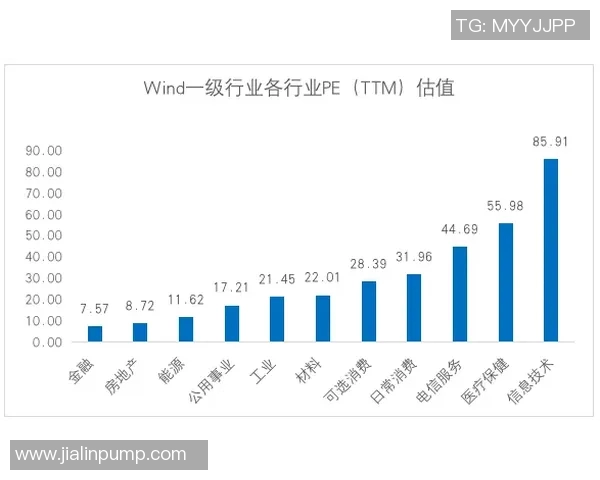 武汉极限运动队实力分析与发展前景探讨